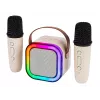 Karaoke reproduktor, KARAOKE RGB Bluetooth reproduktor, 30W