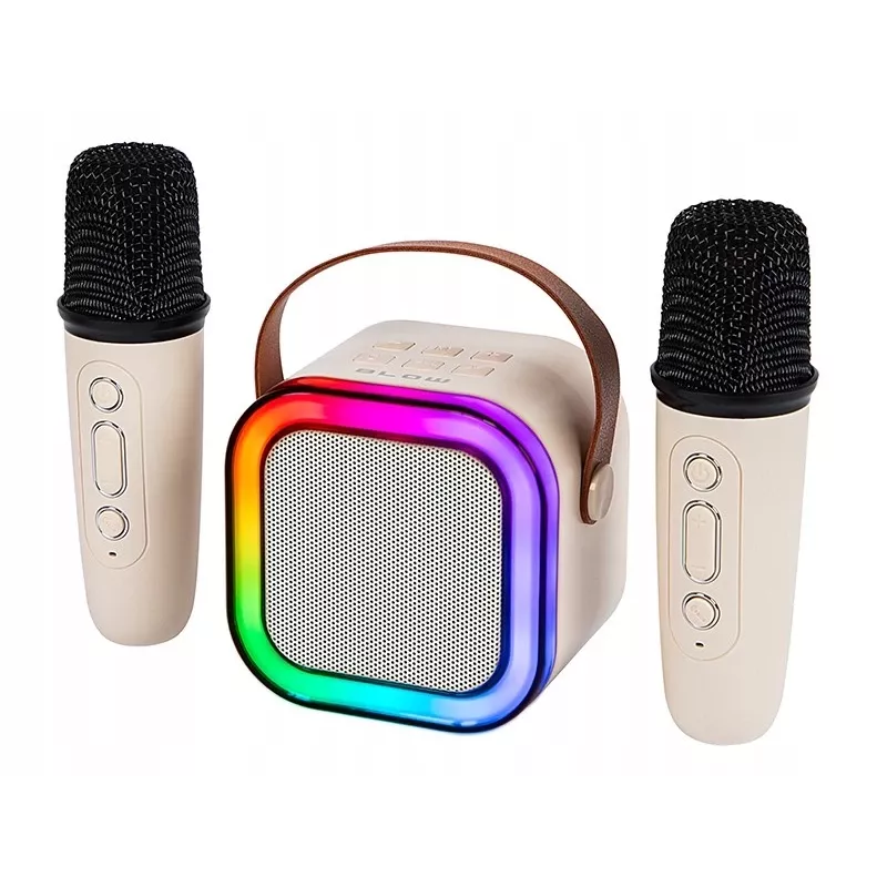 Karaoke reproduktor, KARAOKE RGB Bluetooth reproduktor, 30W
