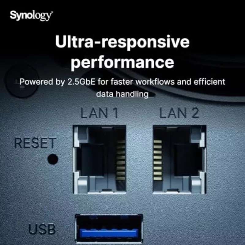 Synology DiskStation DS925+ NAS/storage server Ryzen Embedded V1500B 4 GB DDR4 0 TB čierny