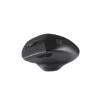 Natec Genesis Blackbird 2 myš RF Wireless optická 1600 DPI