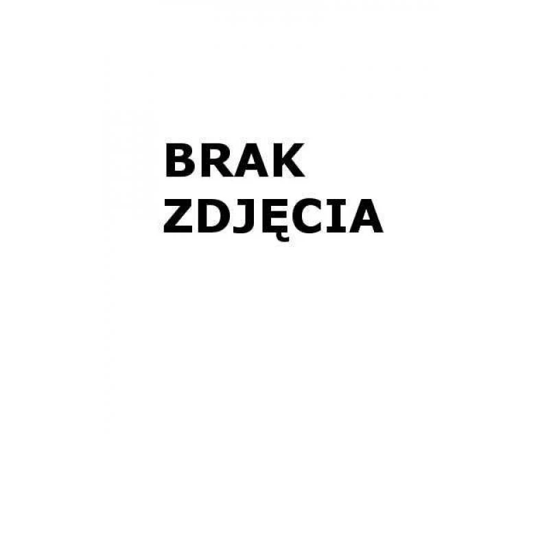 Grafický tablet 10