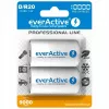 Nabíjateľná batéria everActive EVHRL20-10000 D NiMH 1,2 V 2 ks