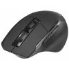 Myš Tracer Cozy pravá ruka RF Wireless optická 1600 DPI