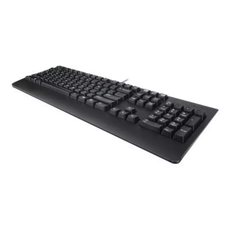 Lenovo 4X30M86918 klávesnica Office USB QWERTY US angličtina čierna