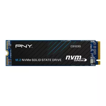 PNY CS1030 256GB M.2 2280 PCIe NVMe Gen3 x4 interný SSD disk (Bulk)