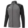 Puma teamLIGA Training pánske tréningové tričko so štvrťovým zipsom Puma Black-Asphalt veľkosť L