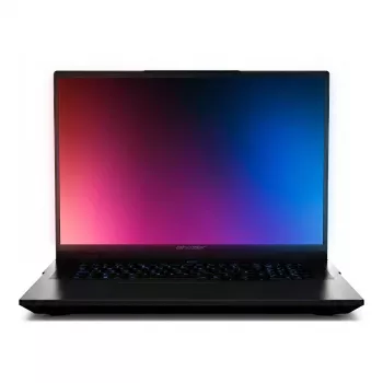 MEDION Erazer Beast 18 X1 MD62729 Gaming laptop 18 palcový QHD+ Intel Core Ultra 9 275HX 64GB RAM 4TB SSD RTX 5090 Windows 11 Home