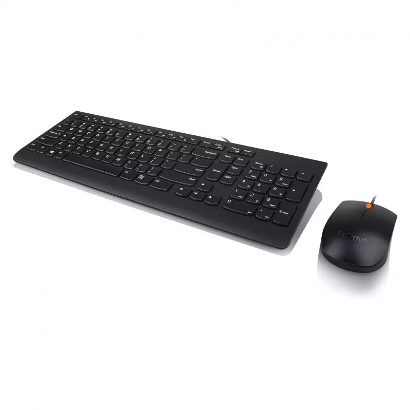 Lenovo 300 USB klávesnica - US English QWERTY - čierna