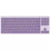 CANYON klávesnica OnType 10 Low Profile EN káblová fialová
