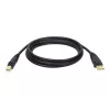 Tripp Lite U022-015 USB 2.0 Hi-Speed A/B kábel pre zariadenia, tienený, samec/samec, 15 ft (4,57 m), čierny