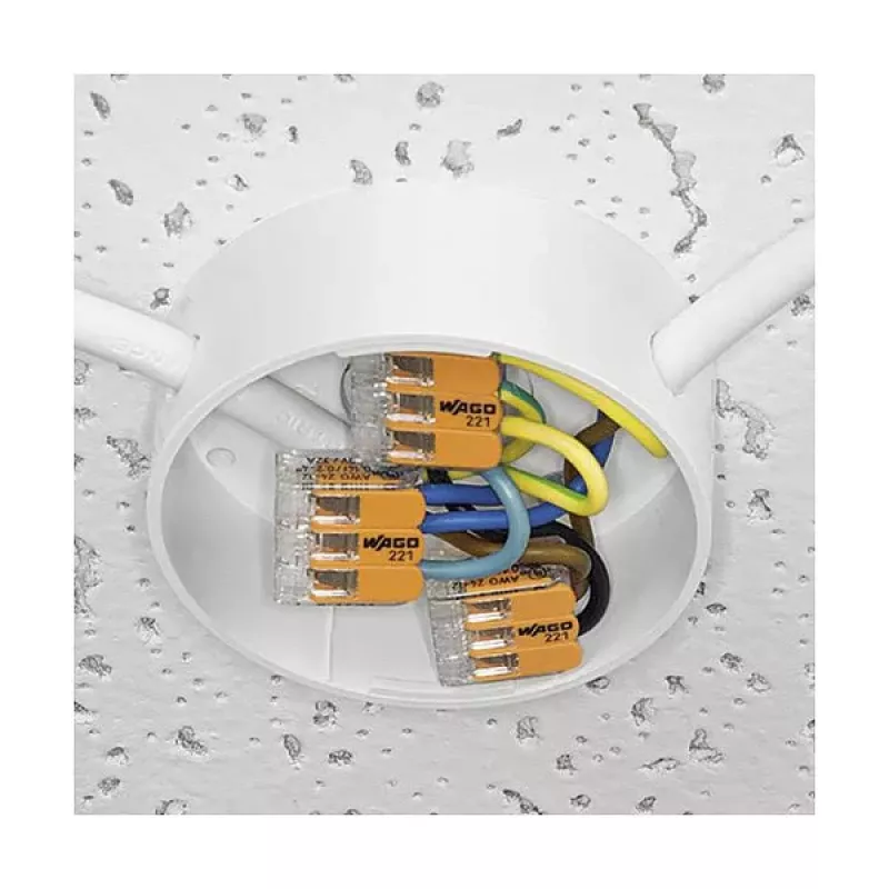 WAGO 221-412 2-vodičová kompaktná spojka, 0,2-4 mm², 100 ks