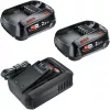Bosch 18V štartovacia sada 2 x 2,5 Ah batérie + AL 18V-44 nabíjačka (1600A031T5)