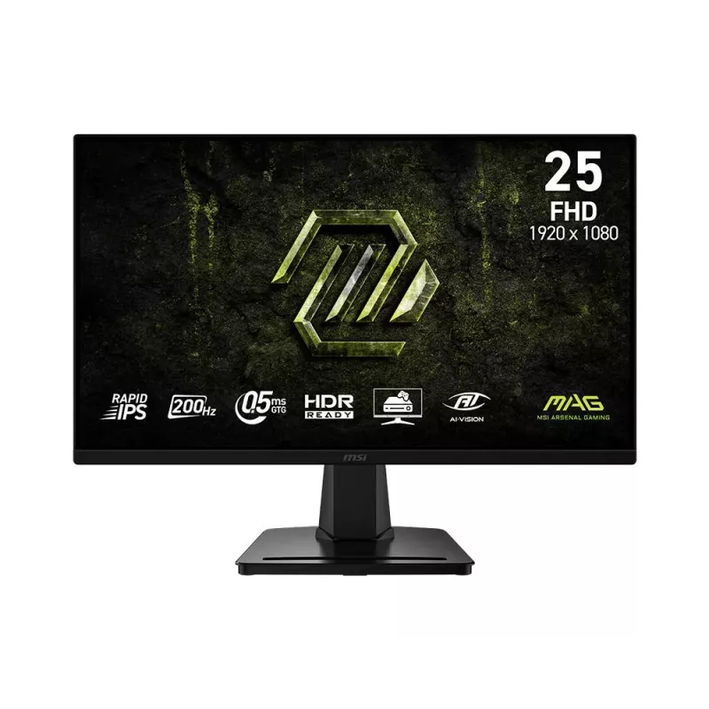 MSI MAG 256F E2 24,5