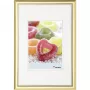Walther Design Trendstyle 18x24 zlatý plastový rám na fotografiu KP824G