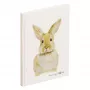 PAGNA Hase zápisník A5 bodkovaný béžový hardcover 128 strán