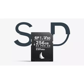 Angelbird SD karta AV PRO MK2 256GB V30