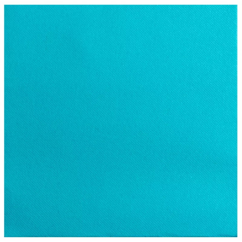 PROnappe servítky tyrkysová 2-vrstvové 19,0 x 19,0 cm 40 ks