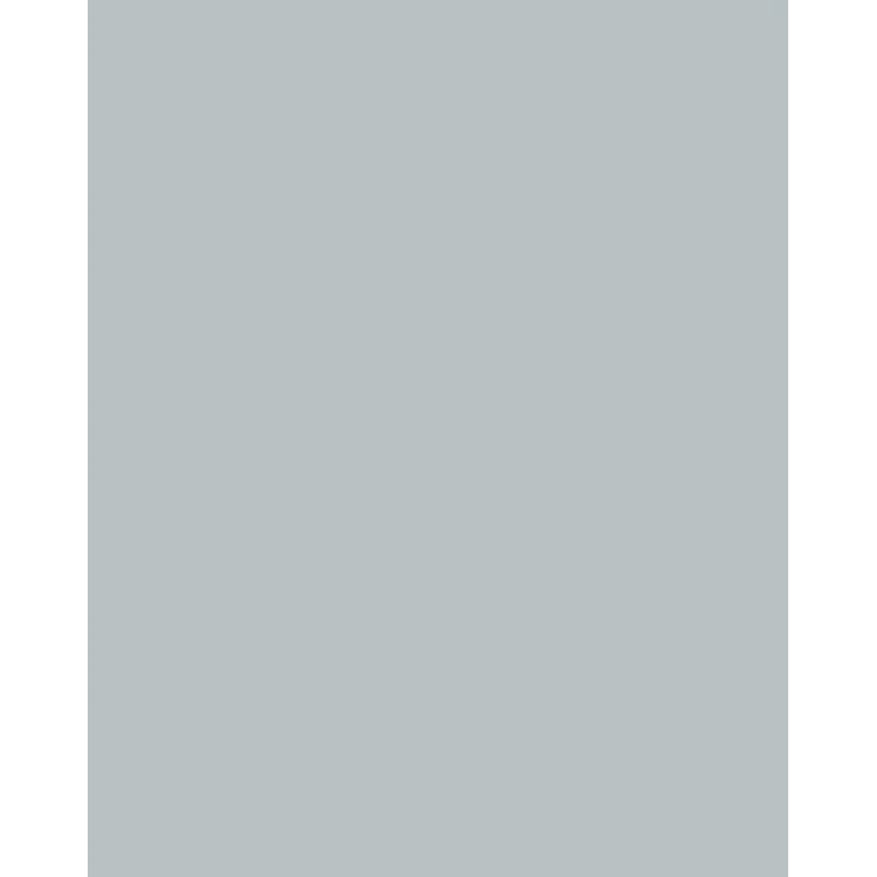 Folia 614/50 60 dizajnový papier - strieborná - A4 (210 x 297 mm) - 300 g/m² - matný - 50 listov