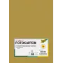 Folia 614/50 65 - zlatá - jednofarebná - A4 (210 x 297 mm) - 300 g/m² - matný - 50 listov