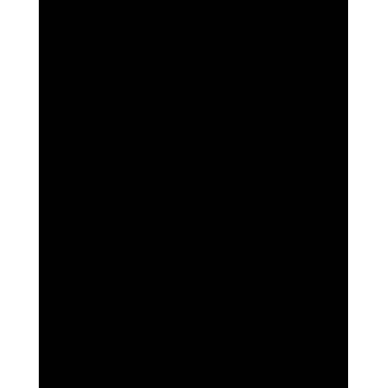 Folia 614/50 90 - čierna - jednofarebná - A4 (210 x 297 mm) - 300 g/m² - 50 listov - Nemecko