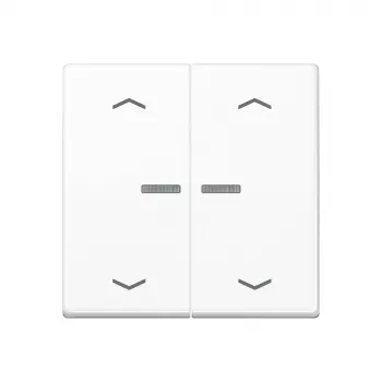 JUNG Home tlačidlo 2-násobné Bluetooth AS 17102 P WW