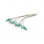 Synergy 21 optický pigtail LC 50/125 µm OM3 2 m 12-balík farebný
