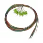 SYNERGY21 LC pigtail 50/125µm OM5 2m 12-balík farebne kódovaný vnútorný kábel