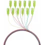 EFB Elektronik optický pigtail SC 50/125 OM5, sada 12 farieb, 2m