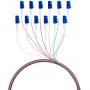 EFB Elektronik Fibre Pigtail LC 9/125 OS2 12-farebná sada 2m - sada kábel/adaptér - Singlemode alebo Monomode