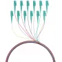 EFB Elektronik Fibre Pigtail LC 50/125 OM3 12-farebná sada 2m - sada kábel/adaptér - Multimode