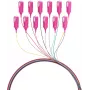 EFB Electronics Fibre Pigtail SC 50/125 OM4 12-farebná sada 2m - sada kábel/adaptér - Singlemode alebo Multimode