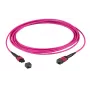 EFB Elektronik MTP samica na MTP samica 12-vláknový OM4 patch kábel, LSZH, fialová Erikaviolett, typ A, 5m
