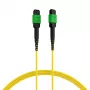 EFB Elektronik MTPF12MTPFOS2-7.5-A optický patch kábel 7,5 m OS2 MTP Female na MTP Female
