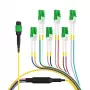 EFB Elektronik MTPF12LCAPC-1 - 1 m - OS2 - MTP - 12x LC optický rozbočovací kábel