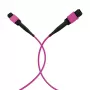 EFB ELEKTRONIK MPO-PLUS(F)-MPO-PLUS(F) patch kábel OM4 12 vlákien Typ B LSZH Heather Violet 15 m