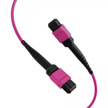 EFB ELEKTRONIK MPO-PLUS(F)-MPO-PLUS(F) patch kábel OM4 12 vlákien Typ B LSZH Heather Violet 3 m