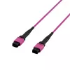 EFB ELEKTRONIK MPO-PLUS(F)-MPO-PLUS(F) patch kábel OM4 12 vlákien Typ B LSZH Erikaviolett 5 m