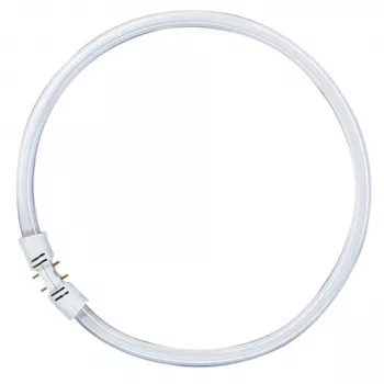 OSRAM LUMILUX T5 FC kruhová žiarivka 55W 865 denné svetlo 2GX13