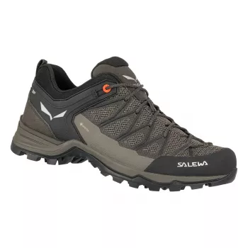 Salewa Mountain Trainer Lite GTX turistické topánky