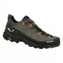 Salewa Alp Trainer 2 GTX turistické topánky - Bungee Cord/Black - UK 8 (EU 42)
