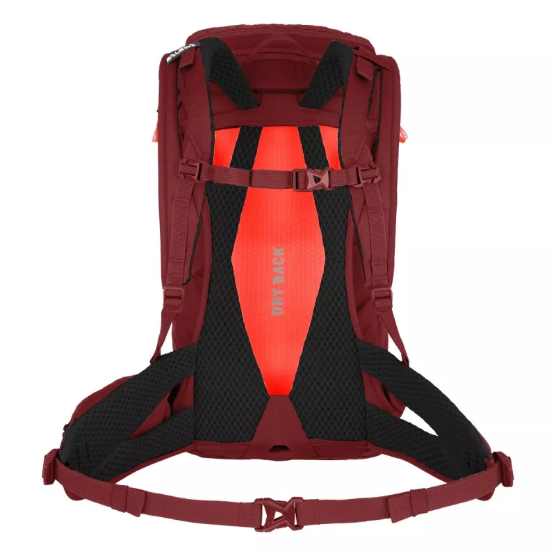 SALEWA Alp Trainer 20 dámsky batoh Syrah