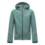 SALEWA Ortles GTX 3L bunda pánska Epe/Willow EU 48/M