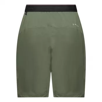 Salewa Pedroc 2 Dst Short dámske - Faded Green - XS
