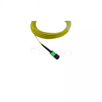 BlueOptics Cisco CB-M12-M12-SMF30M MPO na MPO Singlemode optický patch kábel 30m