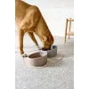 PALOPA porcelánová miska pre psov Cali taupe