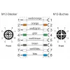 METZ CONNECT 142M2X12020 - 2 m - Cat6a - M12 - M12 - zelený