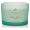 Chesapeake Bay Candle Balance & Harmony veľká vonná sviečka 3 knôtiky 312 g