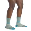 Darn Tough Mountaineering Micro Crew Heavyweight Full Cushion dámske ponožky - Reed, veľkosť L