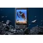 Insta360 X3 Ochranná fólia displeja