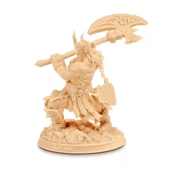 Anycubic Standard V2 1kg resin béžový